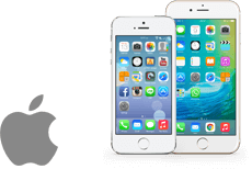 iOS(iPhone)
